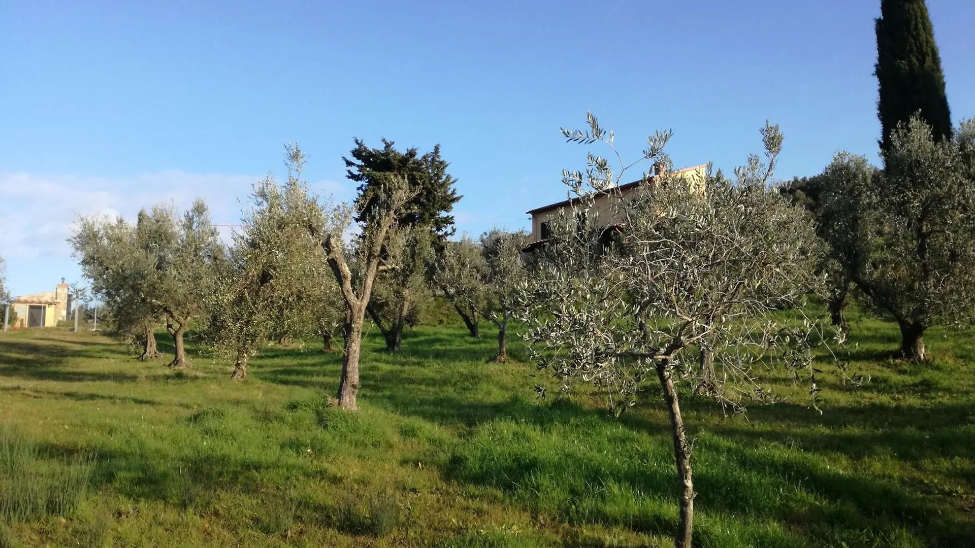 Holiday home Cintoia, Tuscany Beautiful Villa With Private Pool Santa Luce